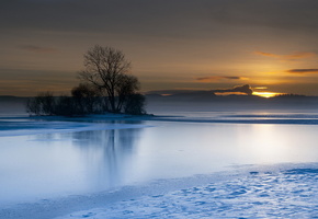 Озеро, пейзаж, дерево, закат