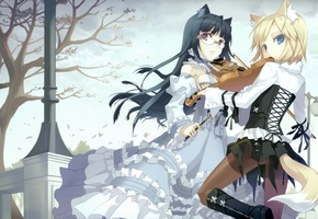 ушки, скрипки, девушки, h2so4, хвосты, Аниме, деревья