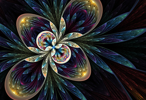 круги, Цветок, лепестки