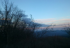 вечер, закат, веточки, небо, нежные краски