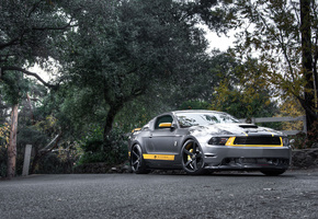 мускул кар, mustang, silvery, серебристый, форд, gt, Ford, мустанг