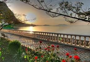 Море, алея, дерево, небо, побережье, солнце, цветы