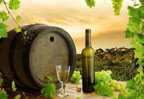 бочка, листья, Вино, бутылка, виноград, белое
