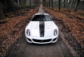 осень, 599, лес, феррари, Ferrari, листья, gto, суперкар, один