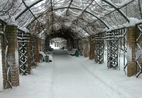 аллея, арка, ограда