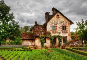 огород, цветы, Домик