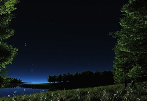 луна, природа, небо, ночь, звезды, Пейзаж, трава, зелень