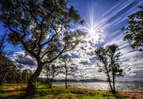 холмы, водоём, озеро, деревья, лес, трава, Берег