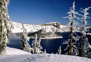 деревья, лес, озеро, снег, Природа, остров, зима