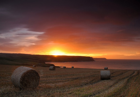 роллы, Закат, поле, море, солнце, небо