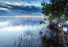 Озеро, небо, пейзаж, деревья